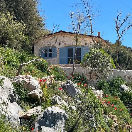 Slope House Eskiomerler